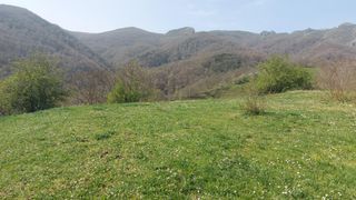 Finca rústica a Pesaguero. Venta terreno rustico en caloca