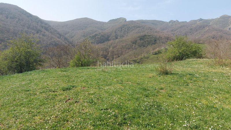 Foto 154f87bb-f28a-4140-996e-95f6b817a1b1. Finca rústica a Pesaguero