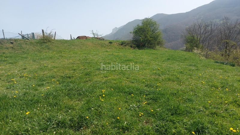 Foto 1bdd3b6a-e4c3-4428-a206-dfcc2d88948b. Finca rústica a Pesaguero