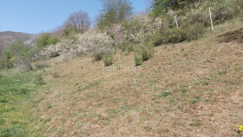 Foto 2b2e17f7-f403-484b-9c14-3dc842a58d38. Finca rústica a Pesaguero