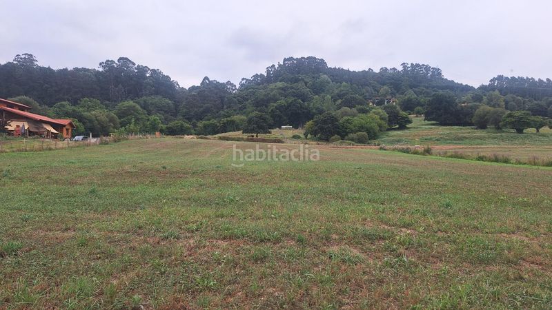 Foto 2c9d9f43-f819-4884-b3e5-24bf5a4856d5. Terreny residencial a Castañeda