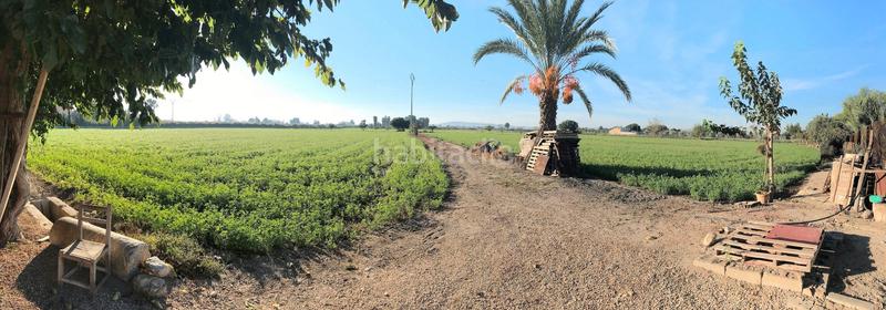 Foto 184d8ca6-5b20-46a0-9fdb-dc1708e3a694. Rural plot in Callosa de Segura