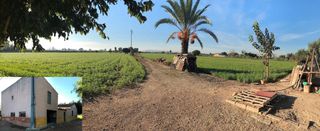 Fondo rustico in Callosa de Segura. Parcela de 1630m2 aproximadamente con casa