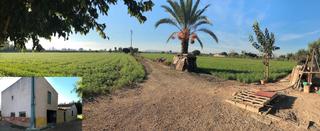 Finca rústica a Callosa de Segura. Parcela de 1630m2 aproximadamente con casa