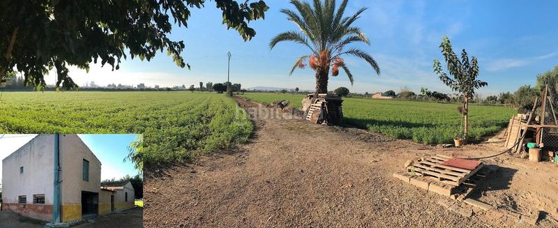 Foto de34b95f-8d3c-444b-8484-d1ae065b1806. Rural plot in Callosa de Segura