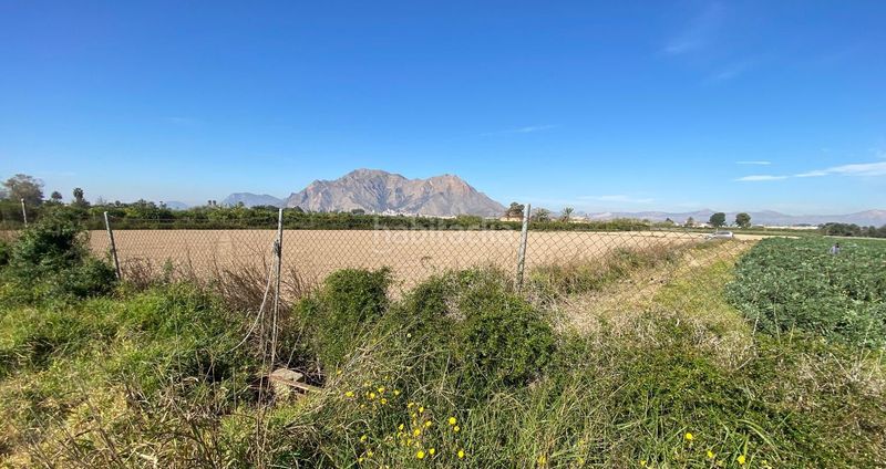 Foto 4e0c8632-90ca-43ba-a92e-f7c1f53c8493. Finca rústica a Callosa de Segura