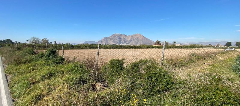 Foto 79fae92d-68c6-4fd0-b31f-0e4f7ce54933. Finca rústica a Callosa de Segura
