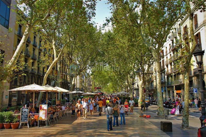Foto f3a03153-1936-40b1-a70e-306ac25b3ee5. Àtic a Gòtic Barcelona