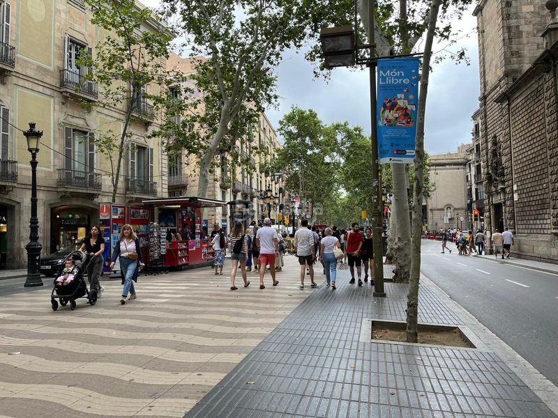 Foto f6907349-2b82-4414-bce0-b9547b13fd1f. Àtic a Gòtic Barcelona