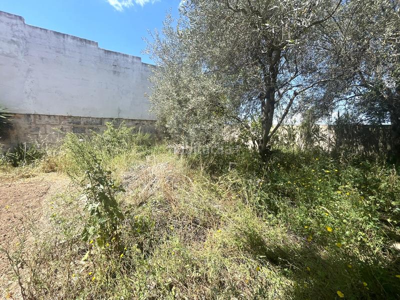 Foto 32dd814d-a0bf-46c3-9b0d-1c3124897387. Terreno residencial ¡oportunidad! solar urbano en Muro