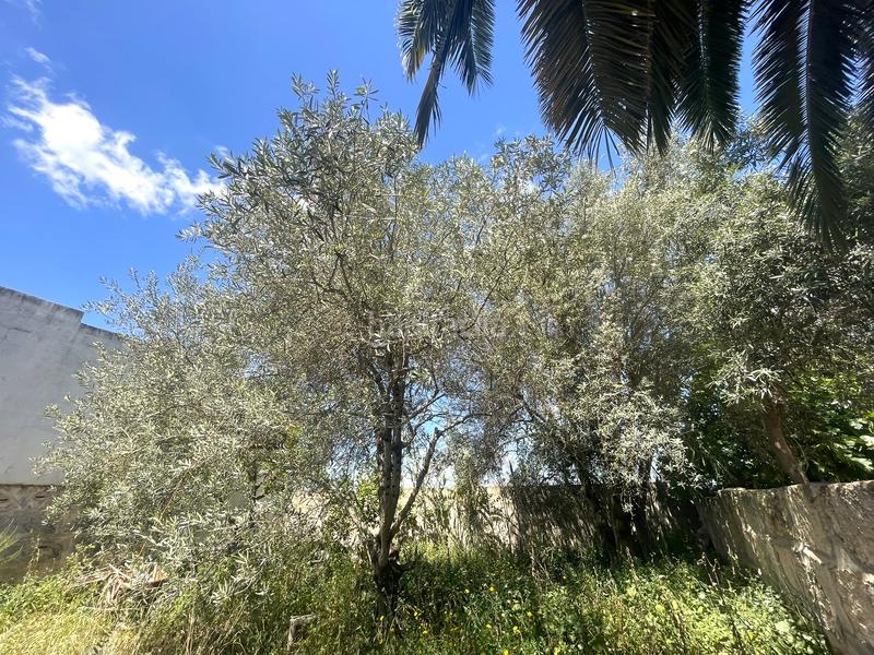 Foto 421df37b-c8c5-412d-90d9-8cc807a18afd. Terreno residencial ¡oportunidad! solar urbano en Muro