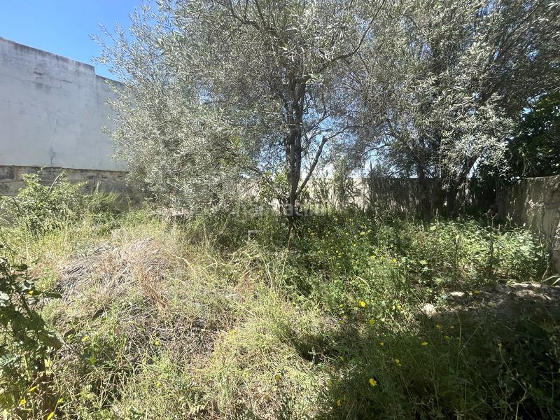 Foto afa329c3-5b68-4787-9d31-eb503892e733. Terreno residencial ¡oportunidad! solar urbano en Muro