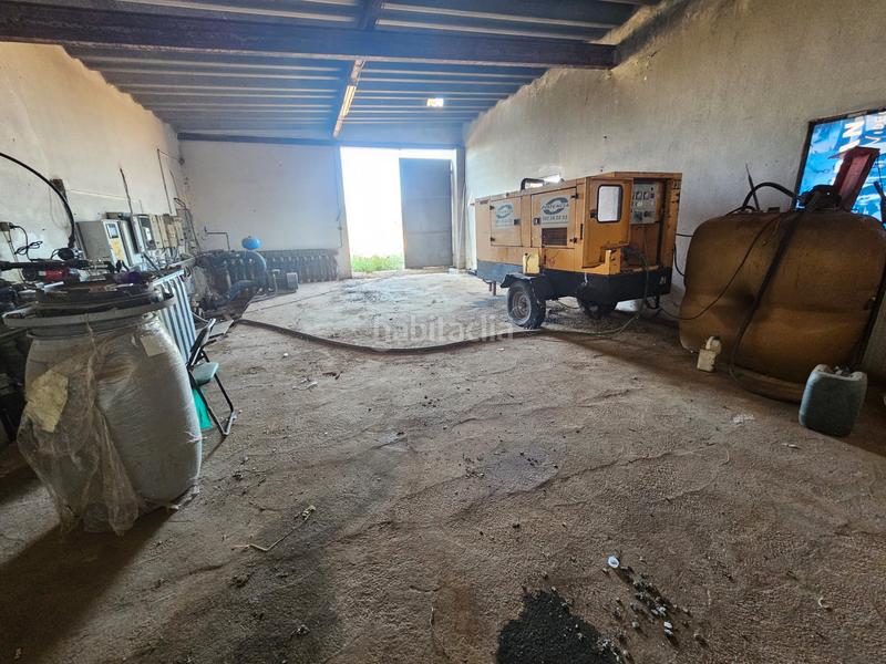 Foto 29ab2451-c899-47be-9d62-d2141235542f. Casale in Sa Pobla