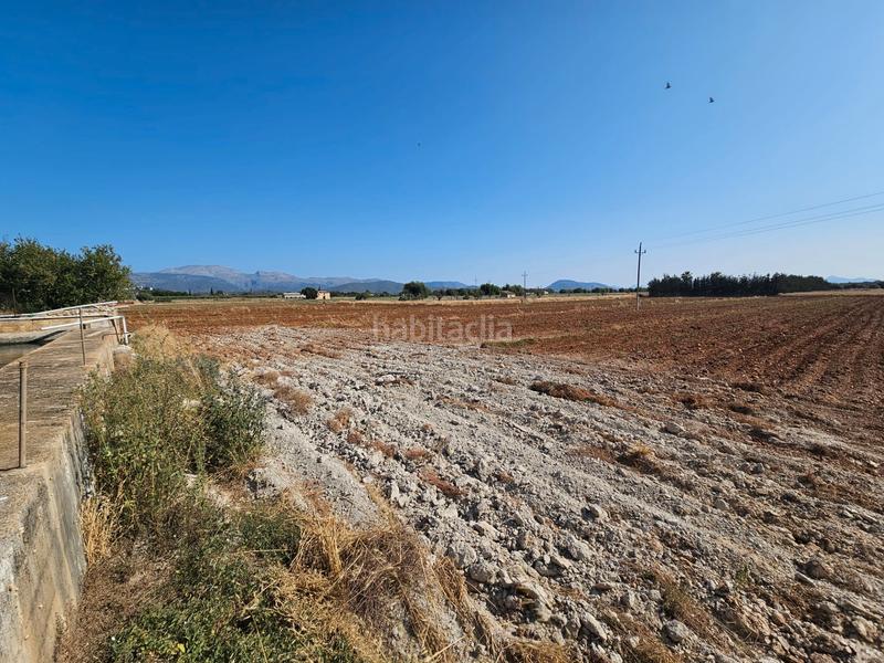 Foto 2ae309ac-54e2-49a6-9252-852ab69d4bb8. Casale in Sa Pobla