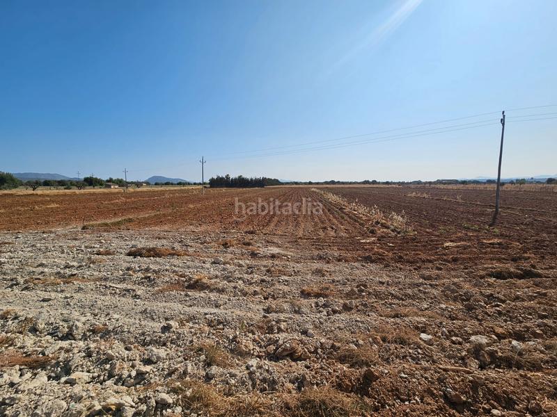 Foto 43f6611e-ab7e-4f36-aa8b-8a6d33bc54fc. Casale in Sa Pobla