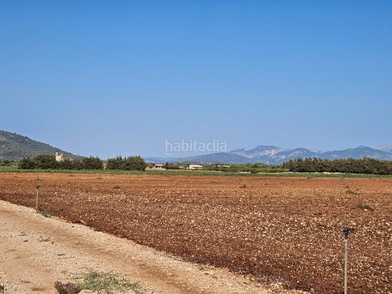 Foto 5b396272-5cf0-4f75-9c34-9a07730333ba. Casale in Sa Pobla