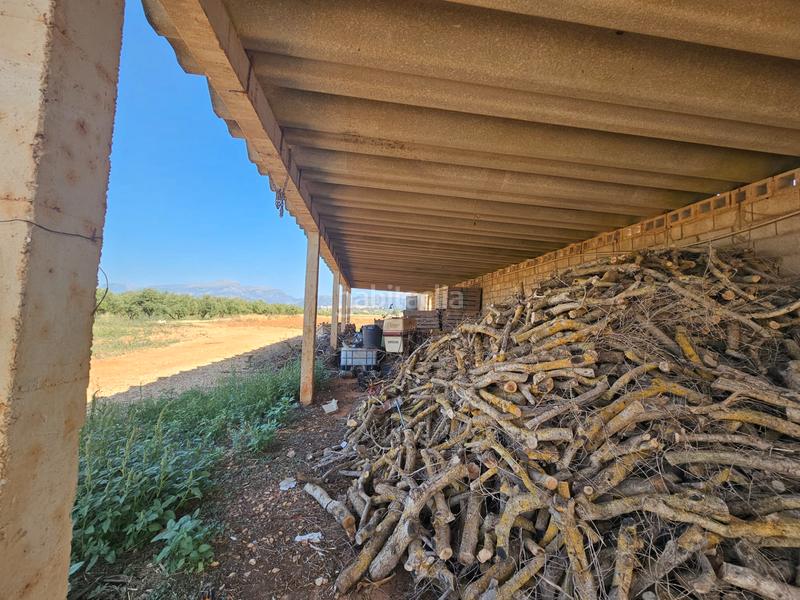 Foto 9a4d5f71-9d7d-4ad0-a53f-5710c1baac62. Casale in Sa Pobla