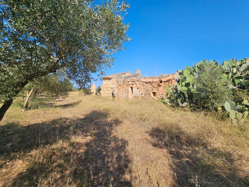 Foto b864c0cd-50fe-41e0-b8d5-c8dcd298658b. Casale in Sa Pobla