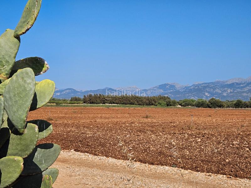 Foto bad59bef-b8ea-4e2a-9823-aee3f11f4d8a. Casale in Sa Pobla