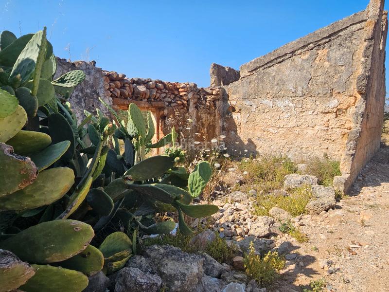 Foto d9d52e19-bc5b-46a9-9400-916ef4a64679. Casale in Sa Pobla