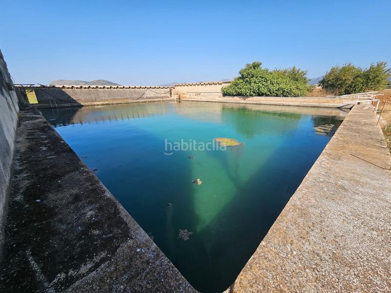 Foto dc9aa6a7-2894-453a-b9ea-34292805b32c. Casale in Sa Pobla