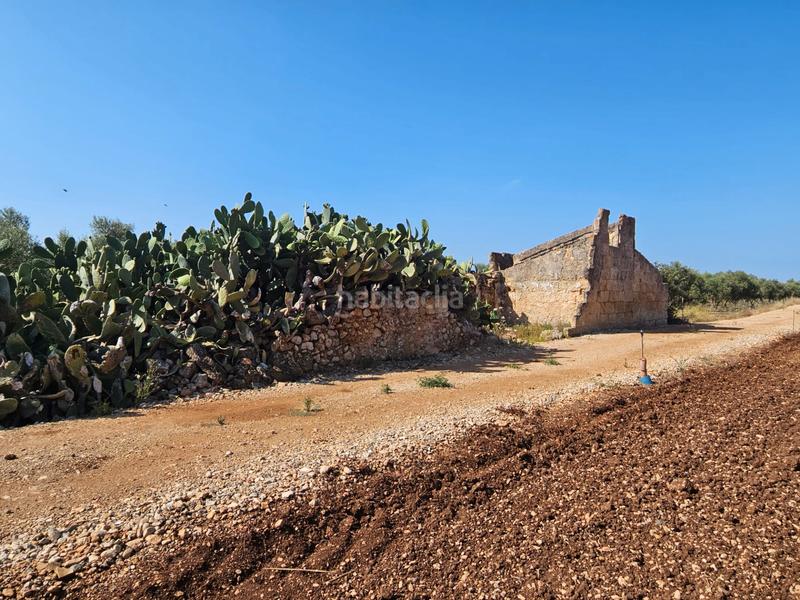 Foto f2e55fba-9c71-40a5-a204-d952f38735af. Casale in Sa Pobla