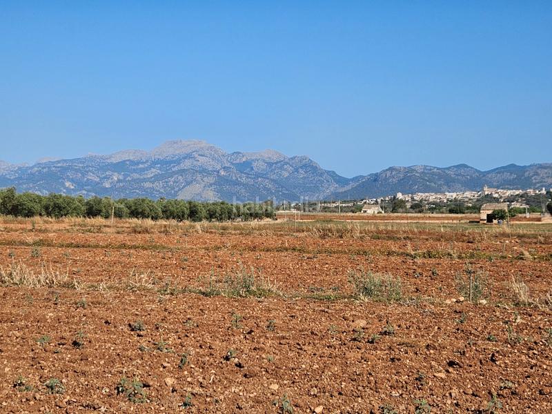 Foto f639ce27-1f15-434c-b106-58c11b545af4. Casale in Sa Pobla