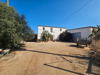 Mas  Carrer ronda nord. Finca rustica con 1200 olivos y elaboración propia de aceite en