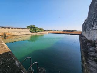 Masia  Carrer ronda nord. Finca rustica con 1200 olivos y elaboracin propia de aceite en
