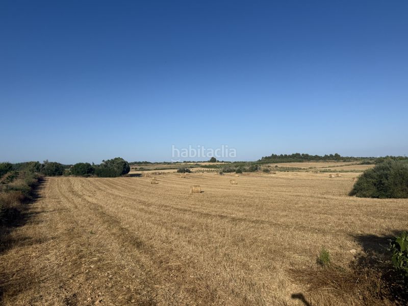 Foto af3cd199-c1f7-4672-90bb-c2c6dc9fc61e. Finca rústica a Manacor centre Manacor