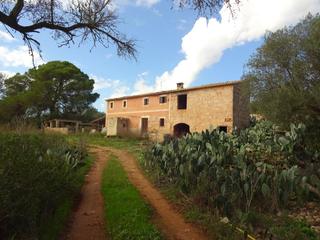 Country house in Sant Jordi