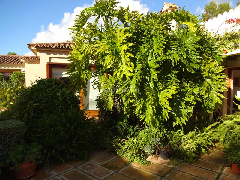 Foto 91af2dd8-9962-4917-a36d-3f97fee0e2d8. Chalet con riscaldamento parcheggio piscina in Santa Ponça Calvià