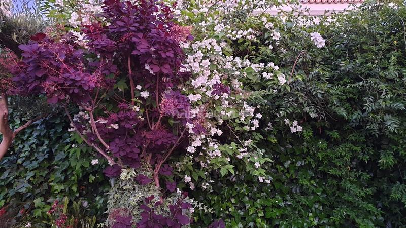 Foto fc0ffdd7-e149-48d7-8287-8270d0a51619. Chalet con riscaldamento parcheggio piscina in Santa Ponça Calvià