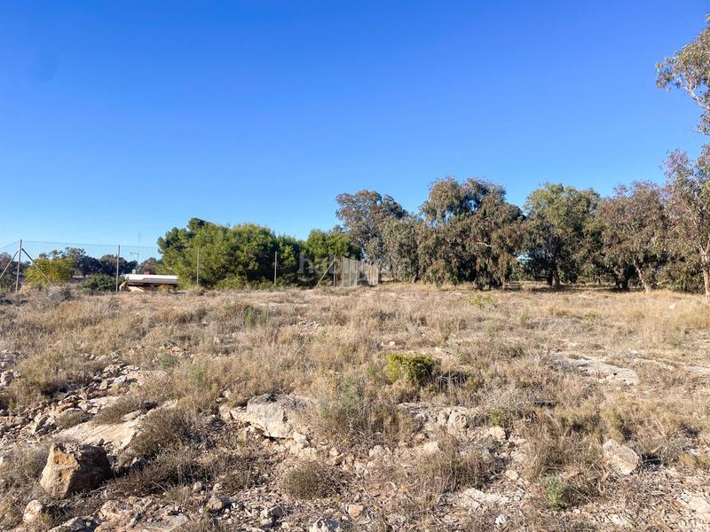 Foto 41049e8f-1289-4fc6-ba91-b991721cd25b. Propriété dans Noroeste Santa Pola