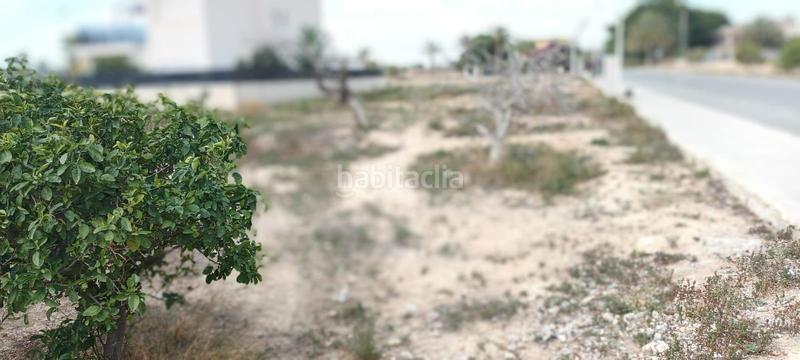 Foto 45e71893-3b0b-4232-9e21-ac52e62850ef. Terreno residenziale in Torrellano Elche / Elx