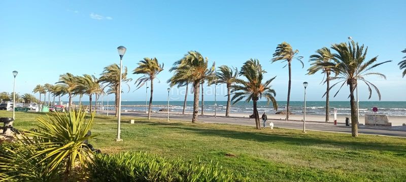 Foto fee8ef17-5754-455b-80ce-9b95e3d82810. Aparcament cotxe a Calas Santiago Bernabeu Santa Pola