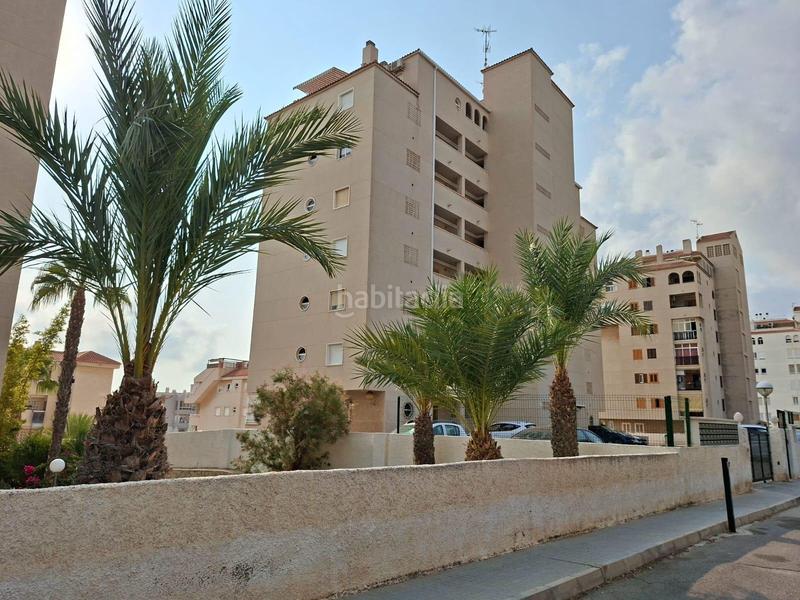 Foto a10b9f91-b2c6-41be-875d-bf53e67cbee7. Apartamento en calle malaga 13 si si si... es para ti en Elche / Elx