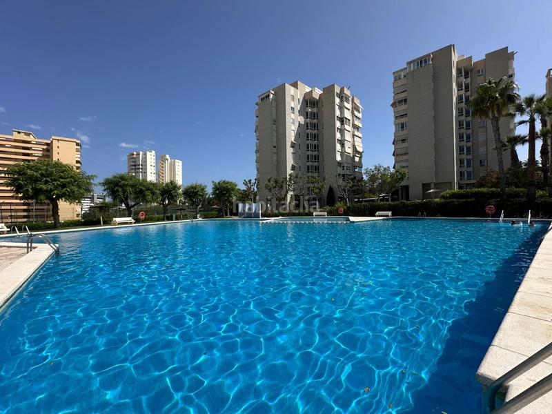 Foto cd807b2e-0ff7-4360-b720-2aa990d1c90b. Affitto piccolo appartamento con parcheggio piscina in Alicante