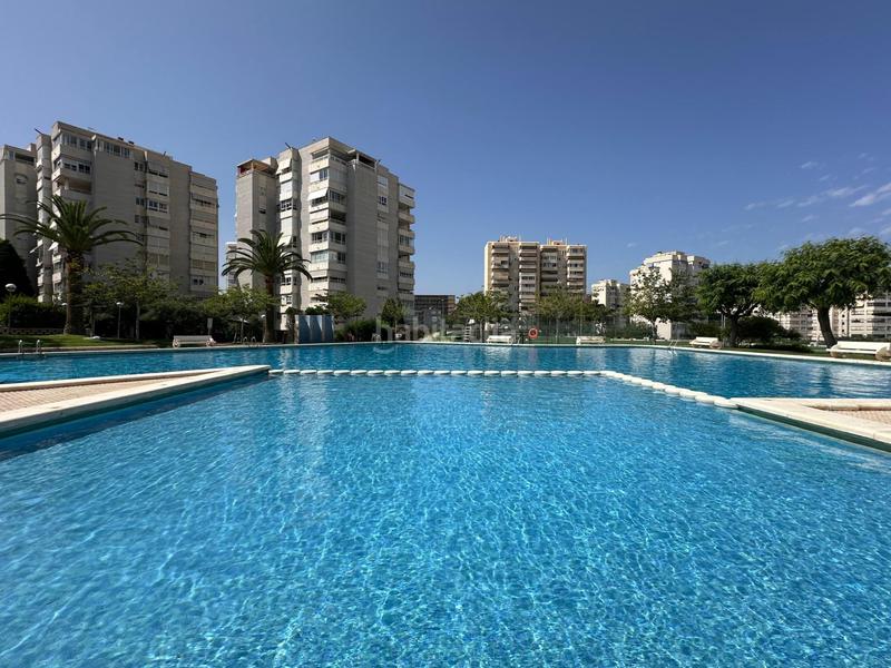 Foto a90b995e-9bc5-446a-8931-ee0bd20382fa. Alquiler apartamento vivir en un paraiso en Cabo de las Huertas Alicante