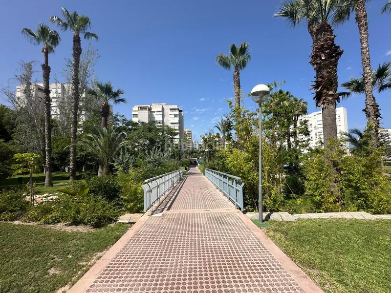 Foto 06e0e698-1c5b-4554-a329-98fea4d37cbd. Lloguer apartament amb aparcament piscina a Cabo de las Huertas Alicante