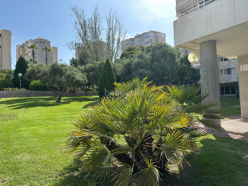 Foto bc6f1a44-4147-4d0d-9d5b-1abbfc00a435. Location appartement avec parking piscine dans Cabo de las Huertas Alicante
