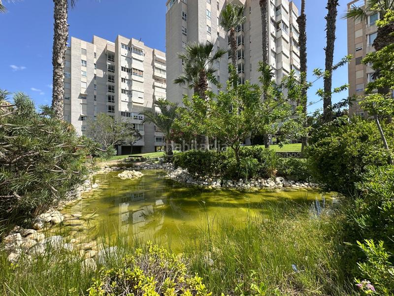 Foto 1e173589-7336-49d2-bfed-8160eb04d9c3. Rent apartment with parking pool in Cabo de las Huertas Alicante