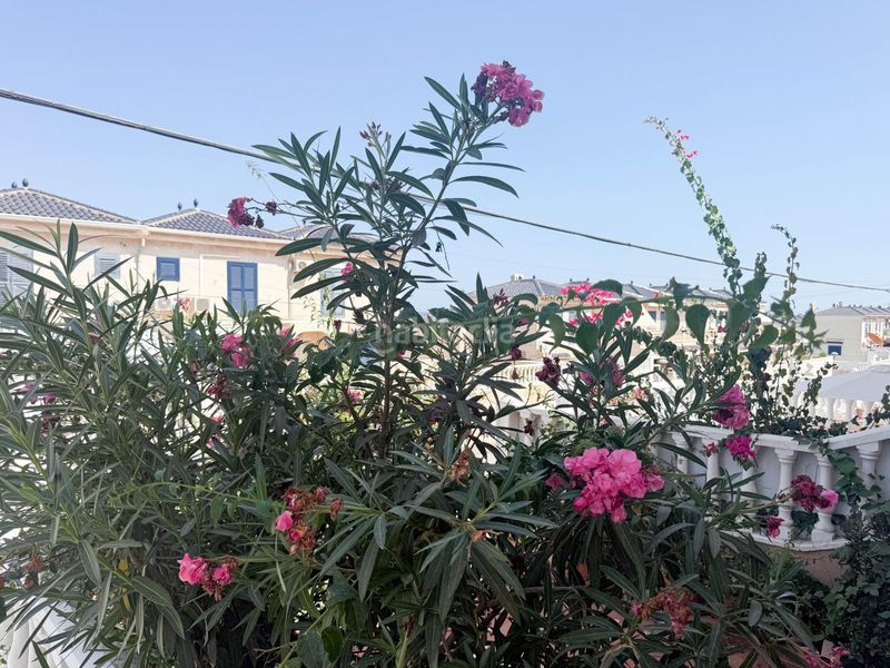 Foto dfedd34b-1404-40c6-8a41-36c7fdef03ca. Miete haus mit heizung in Panorama-Sierramar Santa Pola
