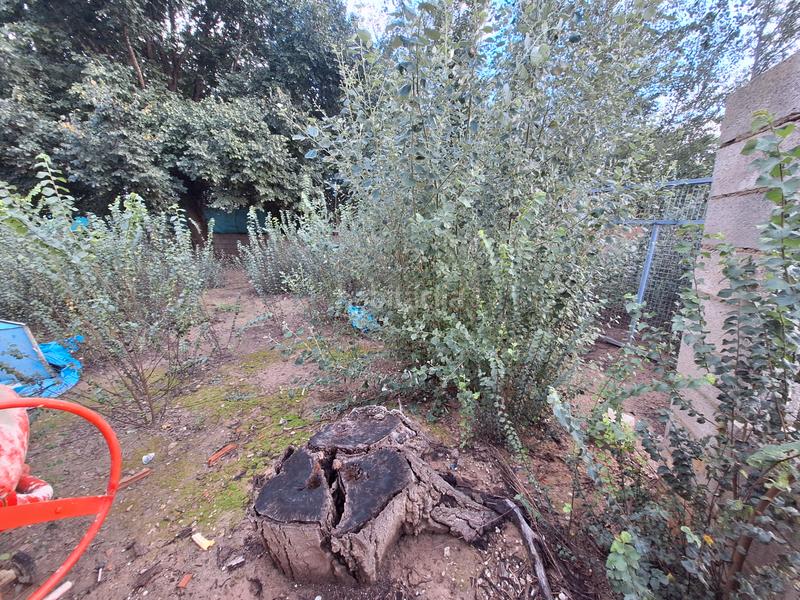 Foto 607bb57a-e639-4b7c-b6bc-067d47e78c65. Finca rústica campo con casa en Sueca Sueca