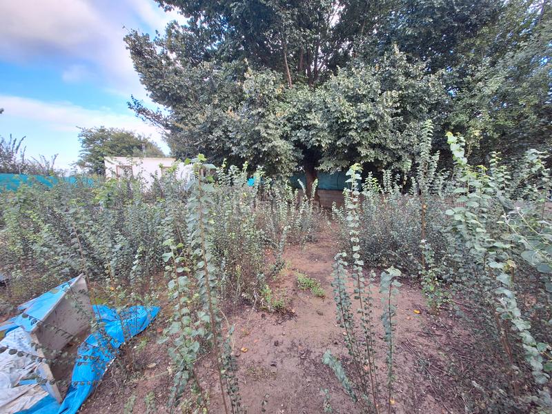 Foto 8b2ee539-fe09-49e8-bf35-6fba55aad434. Finca rústica campo con casa en Sueca Sueca