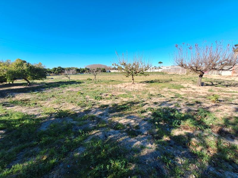 Foto 5caba92e-b88d-4dd5-8472-a4af7feff59b. Finca rústica a Sueca Sueca