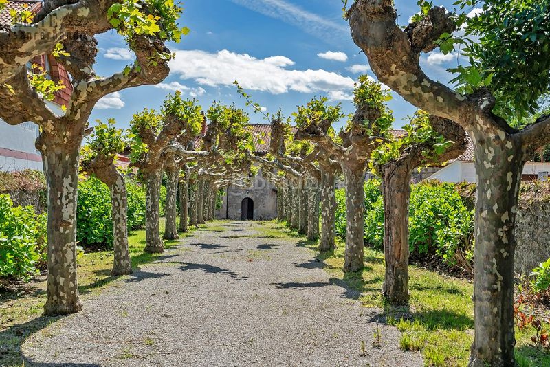 Foto 18ea1226-c10e-4606-ad7c-d177339f7d4f. Casa con parcheggio in Polanco