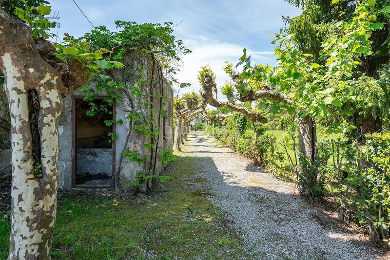 Foto 1abbdb8f-241b-47c8-9d13-10bbf5ce31dd. Casa con parcheggio in Polanco