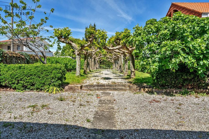 Foto afd08da8-f325-4b94-bb79-bc909a5c332b. Casa con parcheggio in Polanco