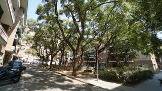 Pis  Plaça del cardenal cicognani. Piso en congres i els indians